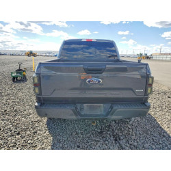 2020 FORD F-150 1FTEW1E41LFC60558 54474876