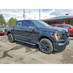 2023 FORD F-150 1FTFW1E86PFD29290 49809766