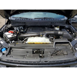 2023 FORD F-150 1FTFW1E86PFD29290 49809766