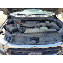 2022 FORD F-150 1FTFW1ED3NFB35813 56460536