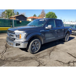 2020 FORD All Models 1FTEW1C56LKD50937 57017666