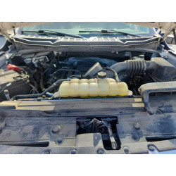 2022 FORD F-150 1FTFW1E58NFA48997 55925796
