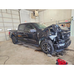 2022 FORD F-150 1FTEW1EP1NKE70937 55139156
