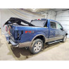 2020 FORD F-150 1FTEW1E45LFB11697 53969916