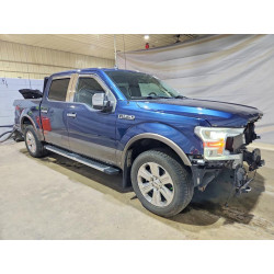 2020 FORD F-150 1FTEW1E45LFB11697 53969916