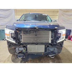 2020 FORD F-150 1FTEW1E45LFB11697 53969916