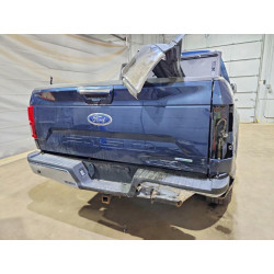 2020 FORD F-150 1FTEW1E45LFB11697 53969916