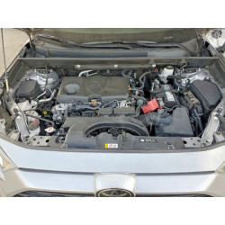 2020 TOYOTA RAV4 2T3W1RFV8LC044831 56703546