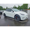 2022 TESLA MODEL Y 7SAYGDEF8NF380865 55062536