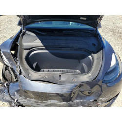2022 TESLA MODEL Y 7SAYGDEE3NF519887 57164716
