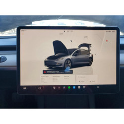 2023 TESLA MODEL 3 5YJ3E1EA8PF447337 51874566