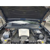 2025 AUDI Q8 WA1AVBF14SD034305 55959566