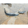 2024 HONDA ACCORD 1HGCY2F51RA054243 53525226