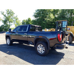 2020 GMC SIERRA 1GT49REY0LF293829 56978886