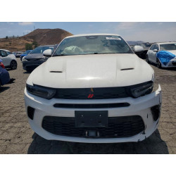 2024 DODGE ALL OTHER ZACPDFCW2R3A27768 79133865
