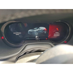 2024 DODGE ALL OTHER ZACPDFCW2R3A27768 79133865