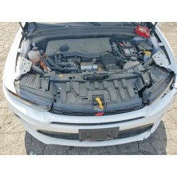 2024 DODGE ALL OTHER ZACPDFCW2R3A27768 79133865