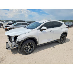 2025 LEXUS NX 2T2ADCAZ7SC018913 59788356