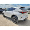 2025 LEXUS NX 2T2ADCAZ7SC018913 59788356