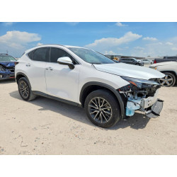 2025 LEXUS NX 2T2ADCAZ7SC018913 59788356