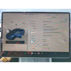 2025 TESLA MODEL 3 5YJ3E1EA4SF057005 54371456