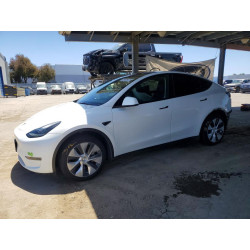 2023 TESLA MODEL Y 7SAYGDEE0PF637124 56345206