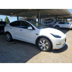 2023 TESLA MODEL Y 7SAYGDEE0PF637124 56345206