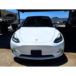 2023 TESLA MODEL Y 7SAYGDEE0PF637124 56345206