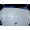 2023 TESLA MODEL Y 7SAYGDEE0PF637124 56345206