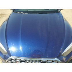 2021 AUDI S5/RS5 WAUY4GF56MN001260 46665886