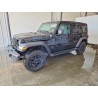 2023 JEEP WRANGLER 1C4JJXN68PW663556 53738726