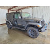 2023 JEEP WRANGLER 1C4JJXN68PW663556 53738726