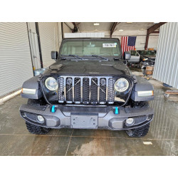 2023 JEEP WRANGLER 1C4JJXN68PW663556 53738726