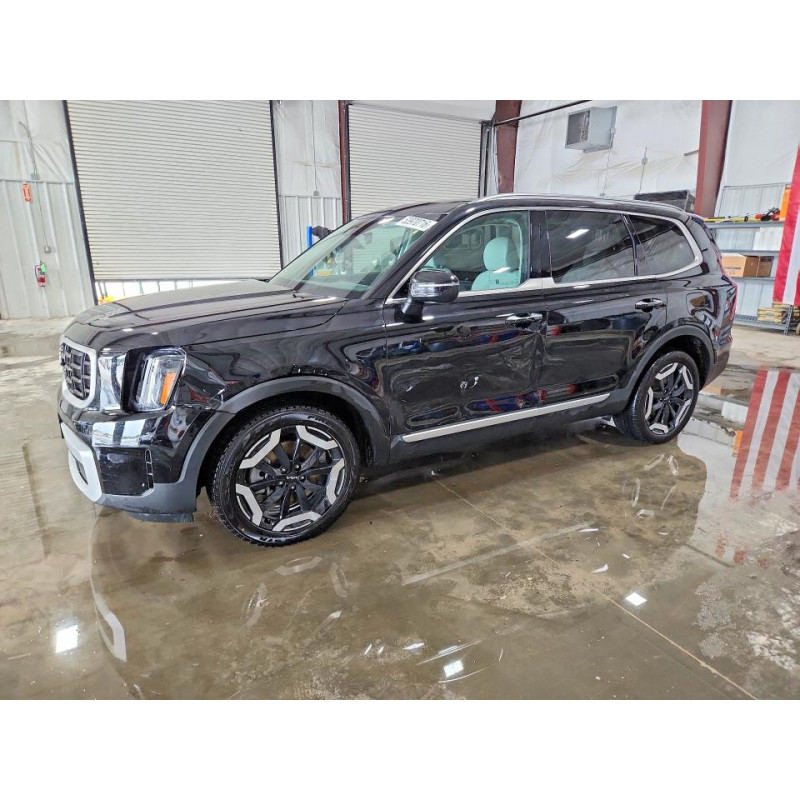 2024 KIA TELLURIDE 5XYP64GC5RG560107 53970716