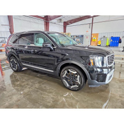 2024 KIA TELLURIDE 5XYP64GC5RG560107 53970716