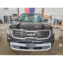 2024 KIA TELLURIDE 5XYP64GC5RG560107 53970716