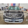 2024 KIA TELLURIDE 5XYP64GC5RG560107 53970716