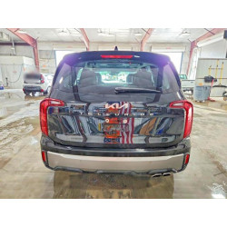 2024 KIA TELLURIDE 5XYP64GC5RG560107 53970716