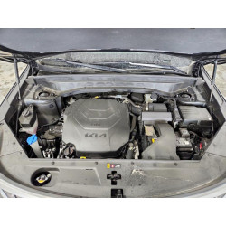 2024 KIA TELLURIDE 5XYP64GC5RG560107 53970716
