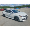 2021 TOYOTA CAMRY 4T1K31AK0MU028994 53384726