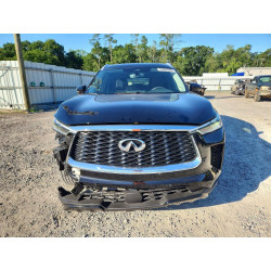 2025 INFINITI QX60 5N1AL1FR5SC344993 55987066