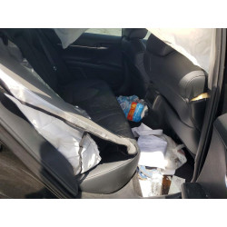2020 TOYOTA CAMRY 4T1G11AK5LU380317 56254446