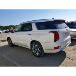 2021 HYUNDAI PALISADE KM8R74HE4MU262768 56945746