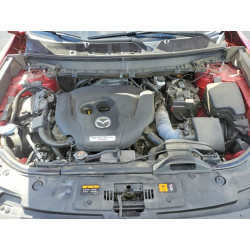 2021 MAZDA CX-9 JM3TCBDY6M0532088 79800895