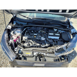 2026 TOYOTA ALL OTHER 7MUAAAAG9TV172439 49887736