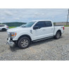 2023 FORD F-150 1FTEW1EP1PKF26393 55211996
