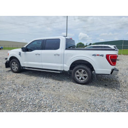 2023 FORD F-150 1FTEW1EP1PKF26393 55211996
