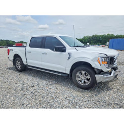 2023 FORD F-150 1FTEW1EP1PKF26393 55211996