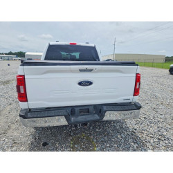 2023 FORD F-150 1FTEW1EP1PKF26393 55211996