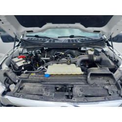 2023 FORD F-150 1FTEW1EP1PKF26393 55211996